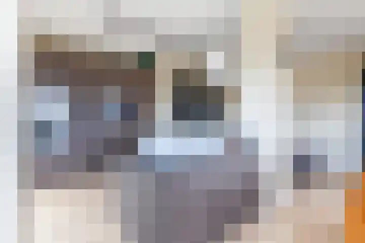 David van Mollemstraat 33 Utrecht thumbnail 16