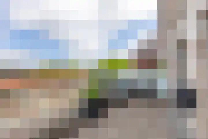David van Mollemstraat 33 Utrecht thumbnail 31