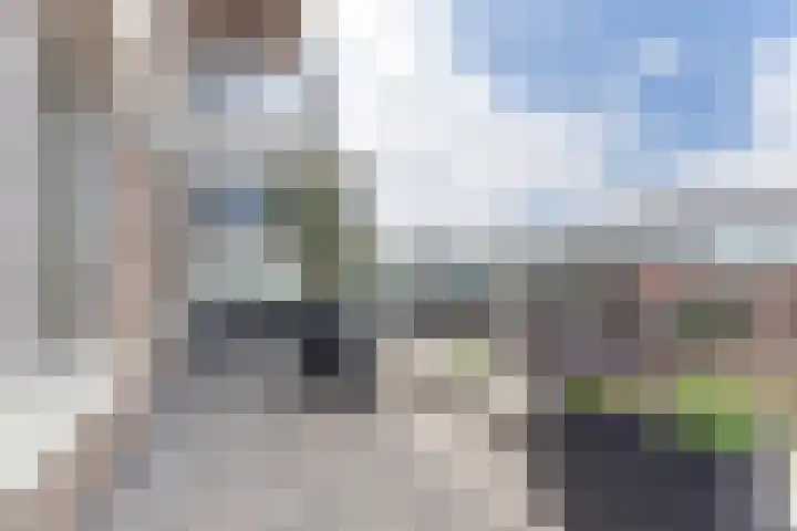 David van Mollemstraat 33 Utrecht thumbnail 33