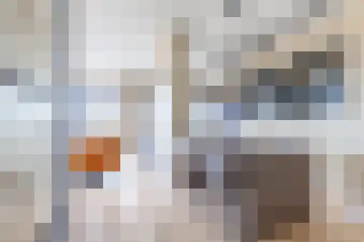 David van Mollemstraat 33 Utrecht thumbnail 6