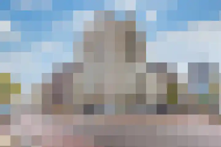 David van Mollemstraat 33 Utrecht thumbnail 63