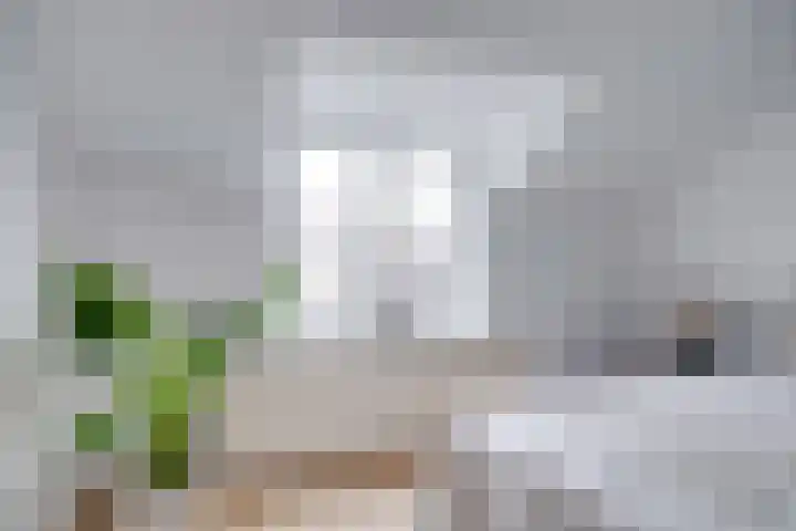 David van Mollemstraat 4 BS Utrecht thumbnail 30