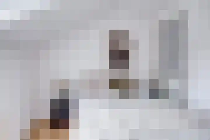 David van Mollemstraat 4 BS Utrecht thumbnail 31