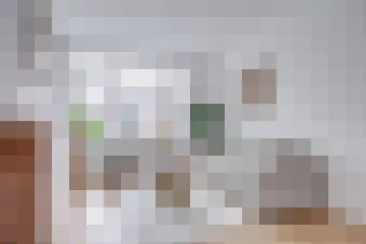 David van Mollemstraat 4 BS Utrecht thumbnail 7