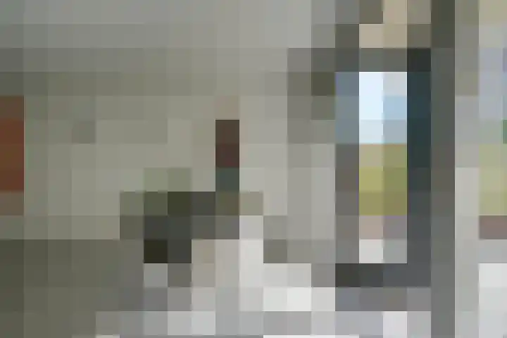 David van Mollemstraat 7 Utrecht thumbnail 12