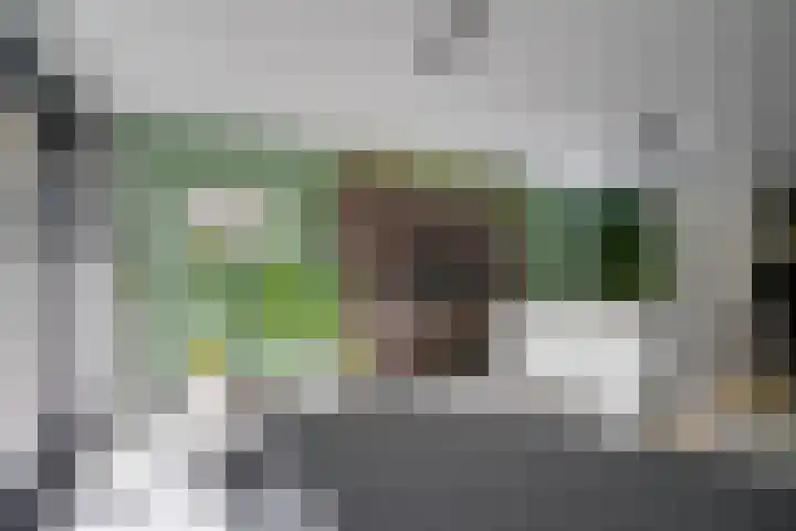David van Mollemstraat 7 Utrecht thumbnail 13