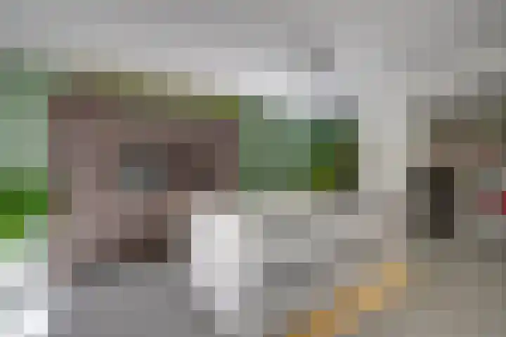 David van Mollemstraat 7 Utrecht thumbnail 14