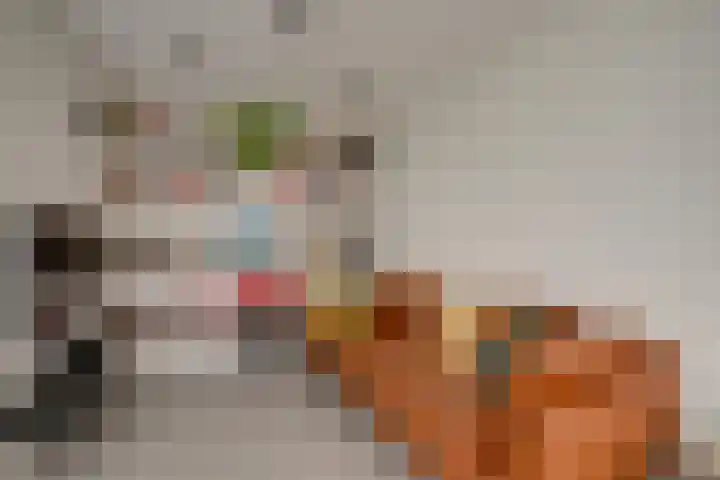 David van Mollemstraat 7 Utrecht thumbnail 17
