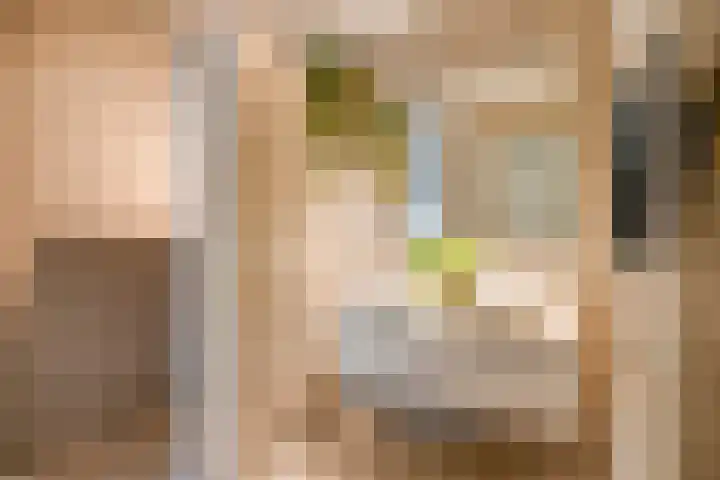David van Mollemstraat 7 Utrecht thumbnail 22