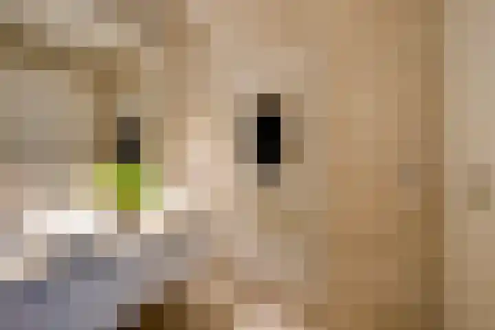 David van Mollemstraat 7 Utrecht thumbnail 23