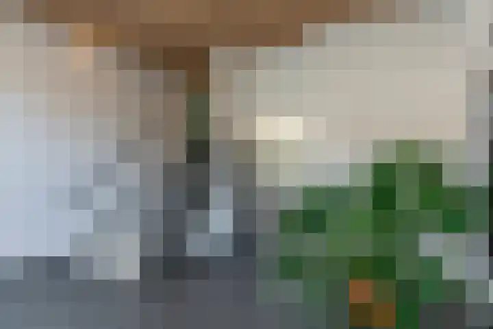 David van Mollemstraat 7 Utrecht thumbnail 5