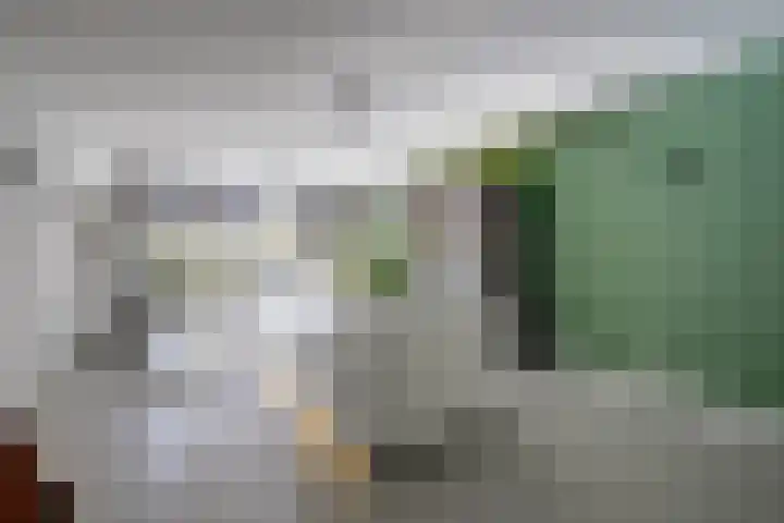 David van Mollemstraat 7 Utrecht thumbnail 7