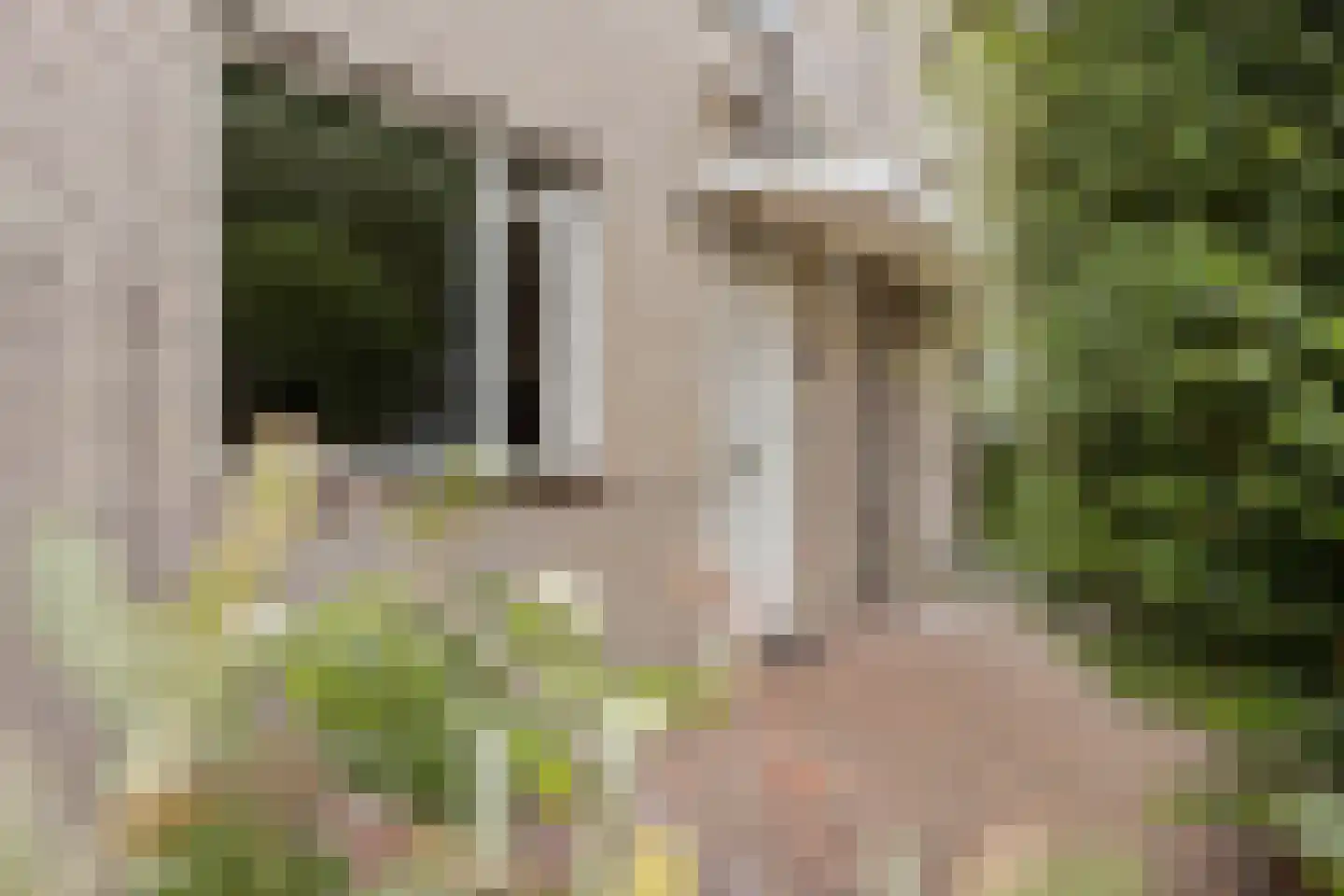 David Verloopstraat 61 Almere thumbnail 10