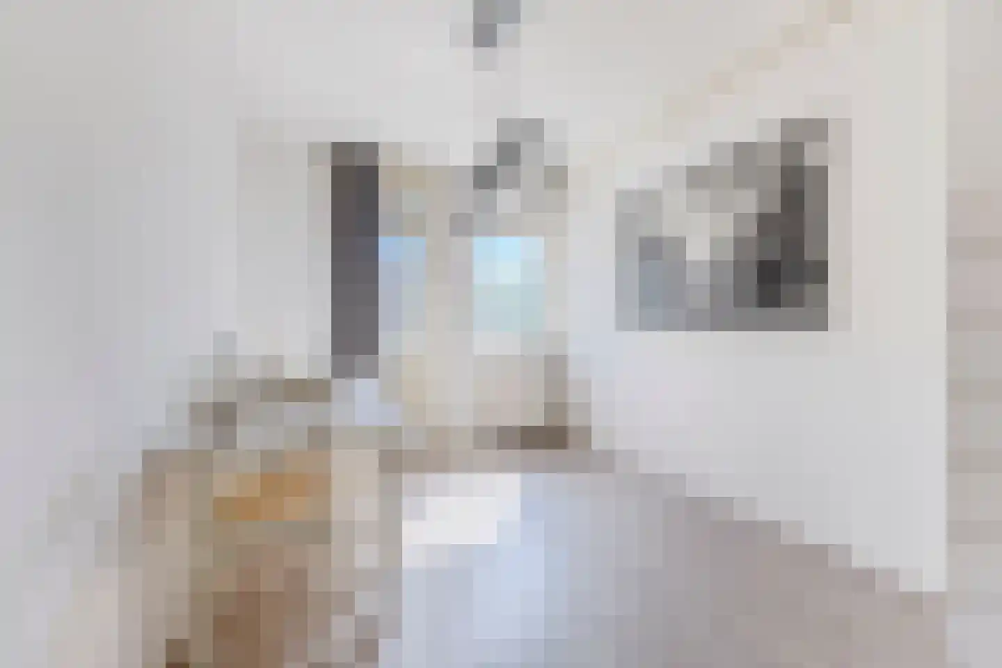 David Wijnkoopstraat 5 Amsterdam thumbnail 10