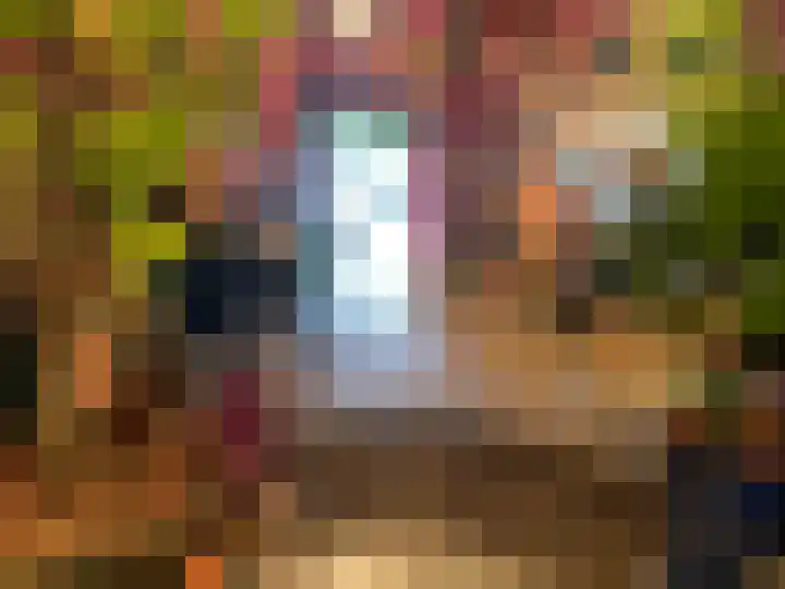 Davidsplein 11 Veenendaal thumbnail 6