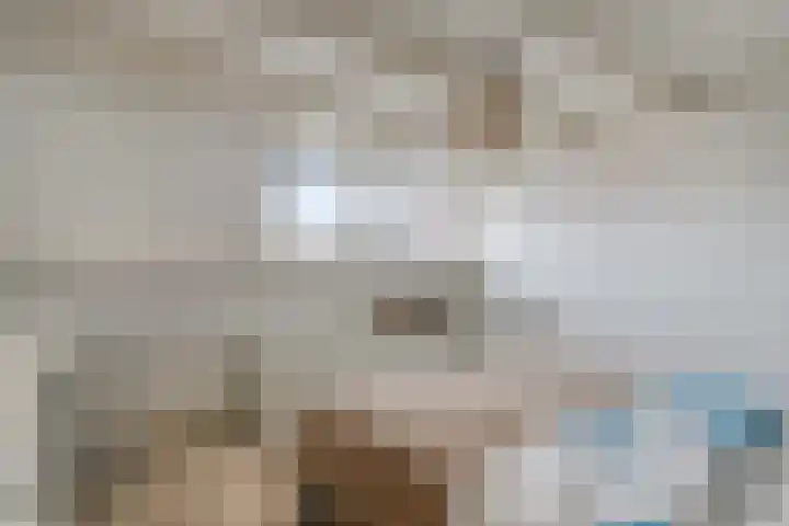 Davidsplein 4 Veenendaal thumbnail 16