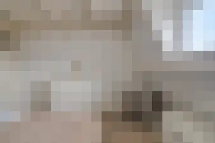 Davidsplein 4 Veenendaal thumbnail 18