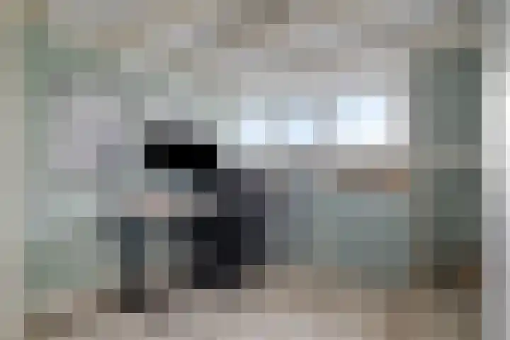 Davidsplein 4 Veenendaal thumbnail 19