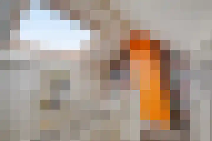 Davidsplein 4 Veenendaal thumbnail 22