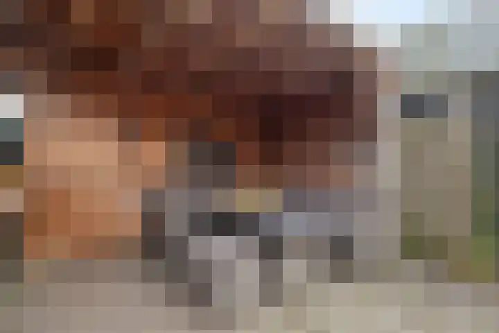 Davidsplein 4 Veenendaal thumbnail 26