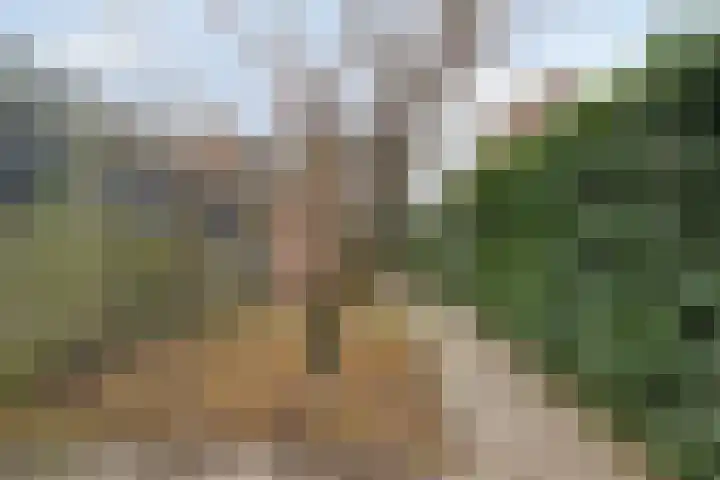 Davidsplein 4 Veenendaal thumbnail 27