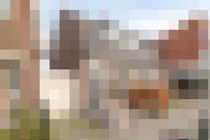 Davidsplein 4 Veenendaal thumbnail 28