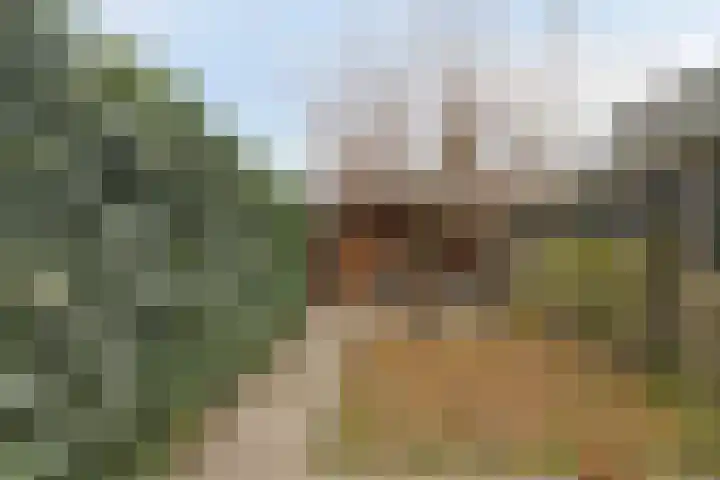 Davidsplein 4 Veenendaal thumbnail 4