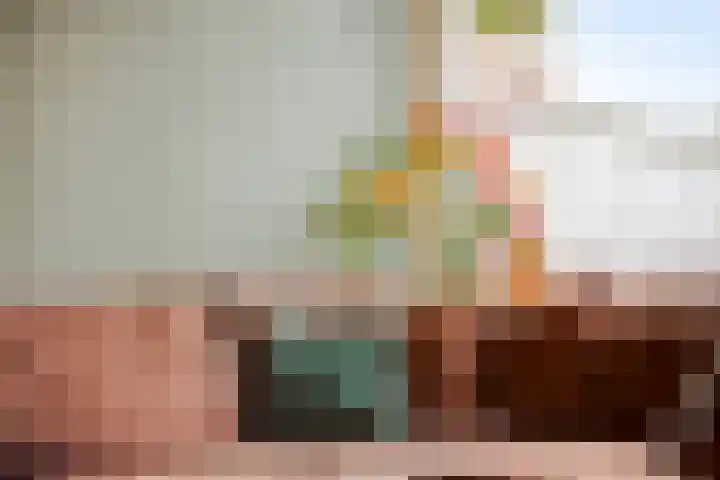 Davidsplein 4 Veenendaal thumbnail 8