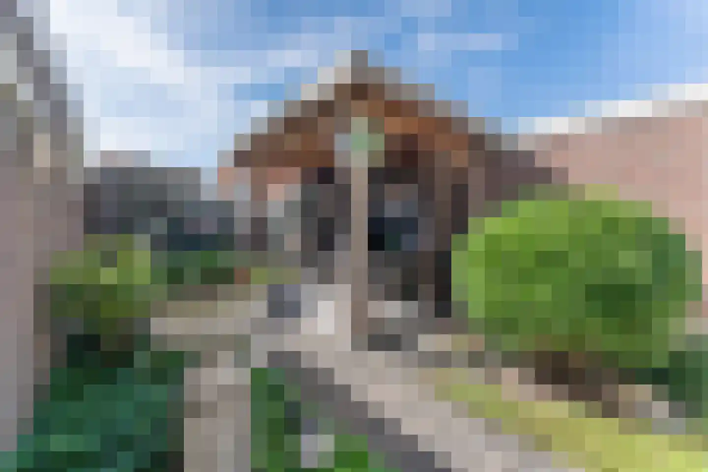 Davidstraat 21 Enkhuizen thumbnail 7