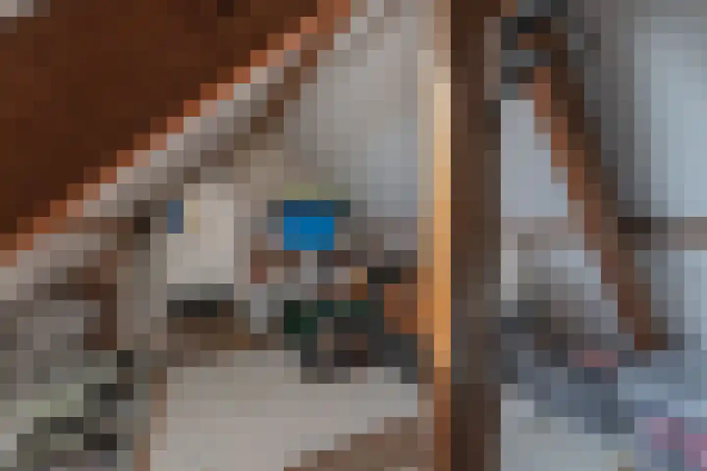 Davidstraat 22 Enkhuizen thumbnail 29