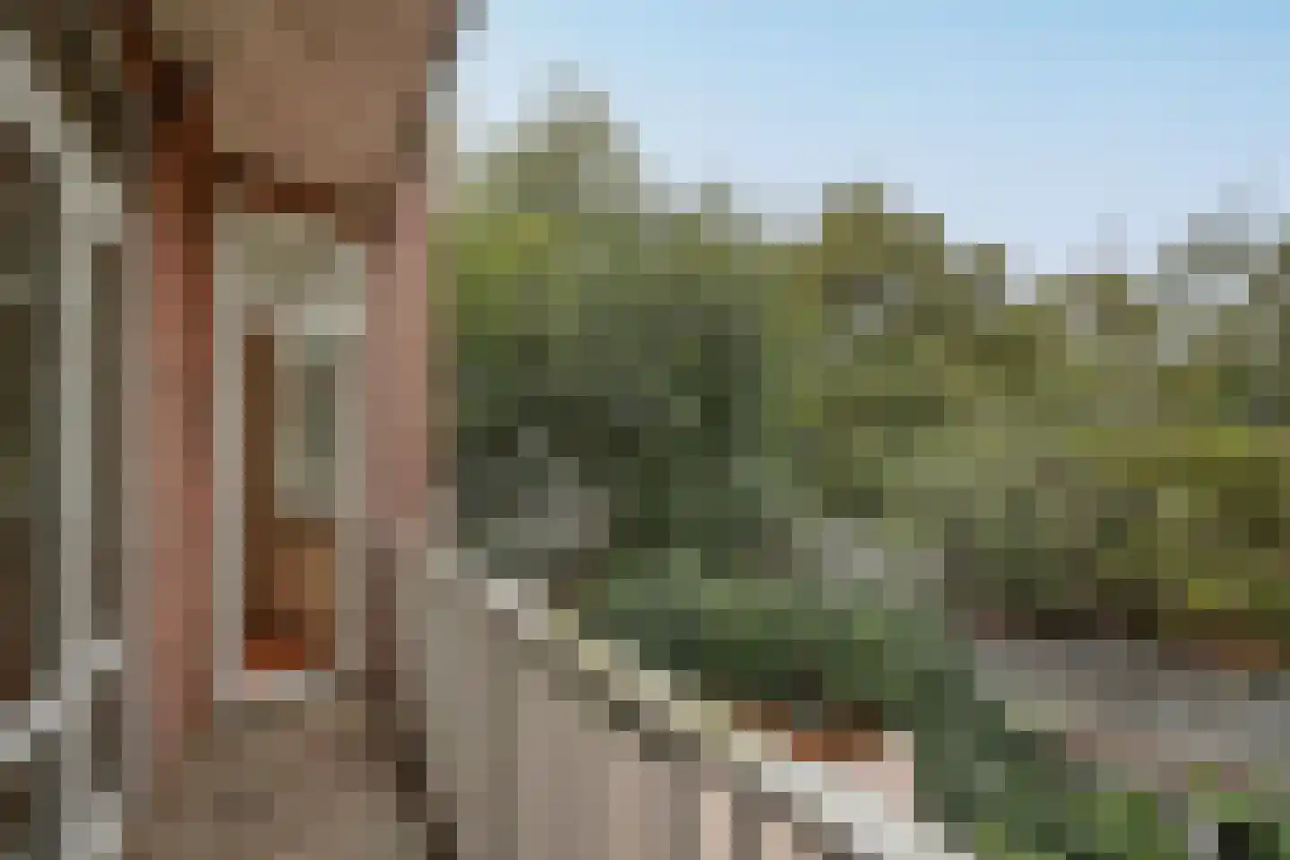 Davisstraat 40 1 Amsterdam thumbnail 13