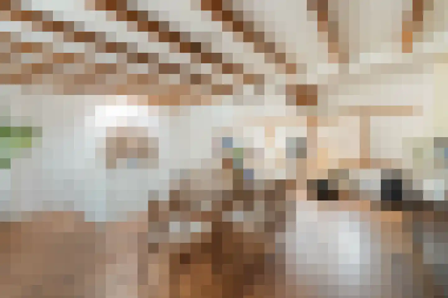 Davisstraat 40 2 Amsterdam thumbnail 10