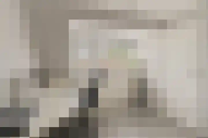Dawesweg 62 Rotterdam thumbnail 21