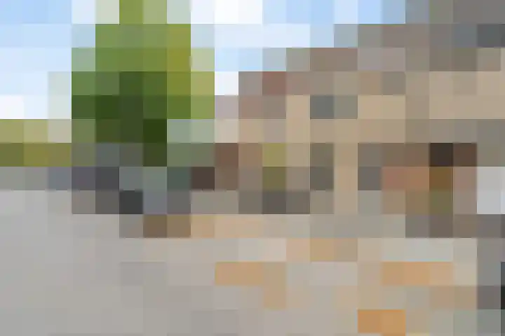 Dawesweg 62 Rotterdam thumbnail 26