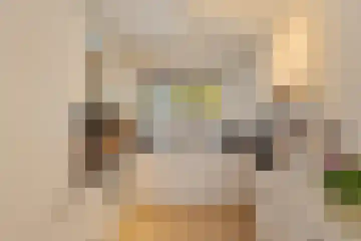 Dawesweg 62 Rotterdam thumbnail 7