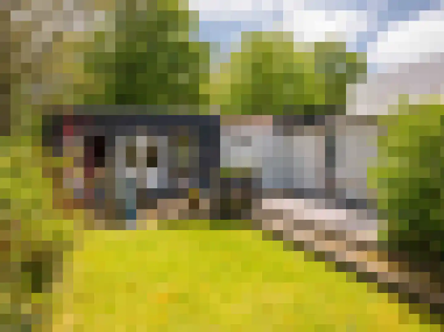 Dawson-Nes 12 Bergen (NH) thumbnail 25
