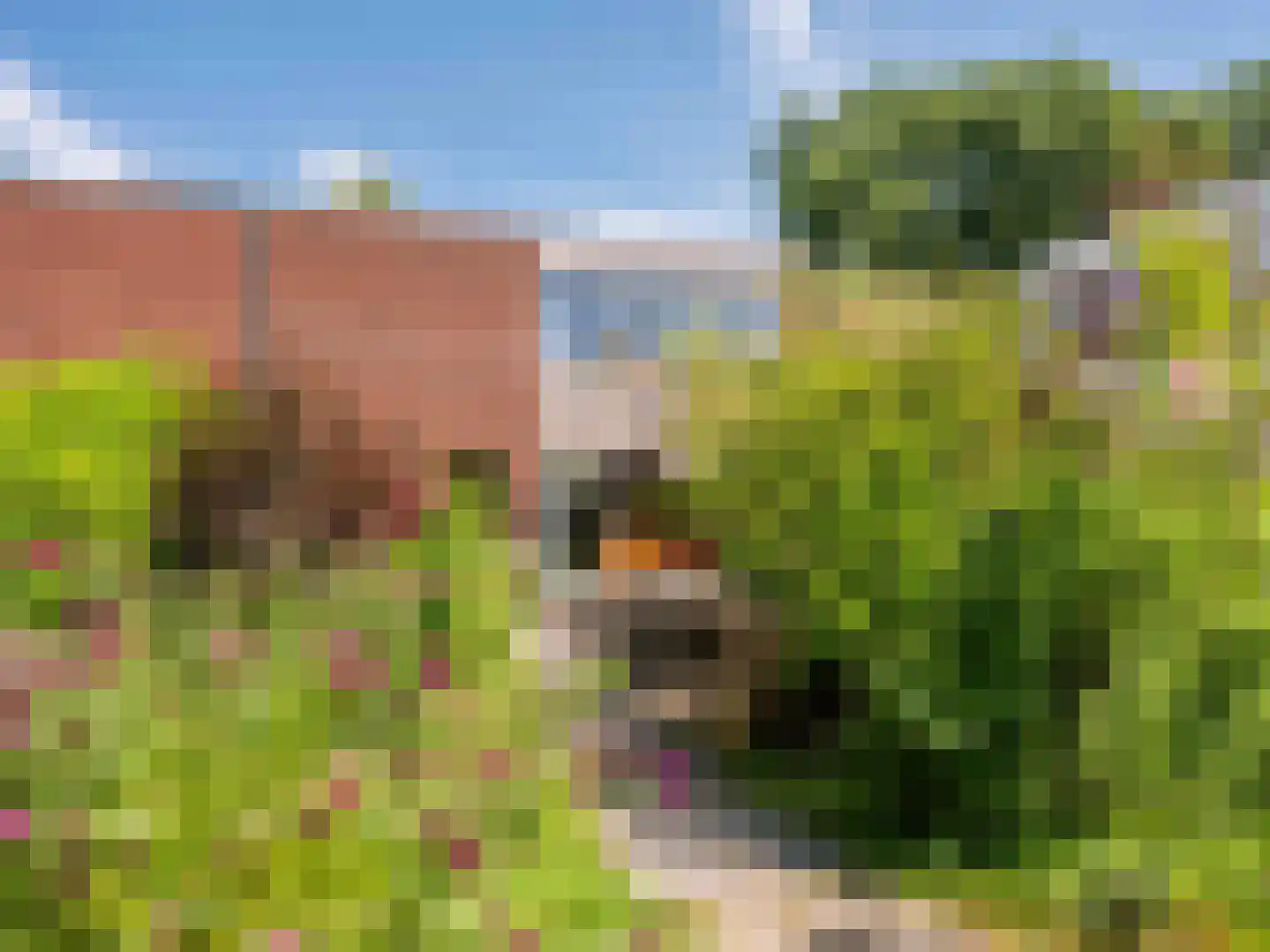 Dawson-Nes 12 Bergen (NH) thumbnail 28