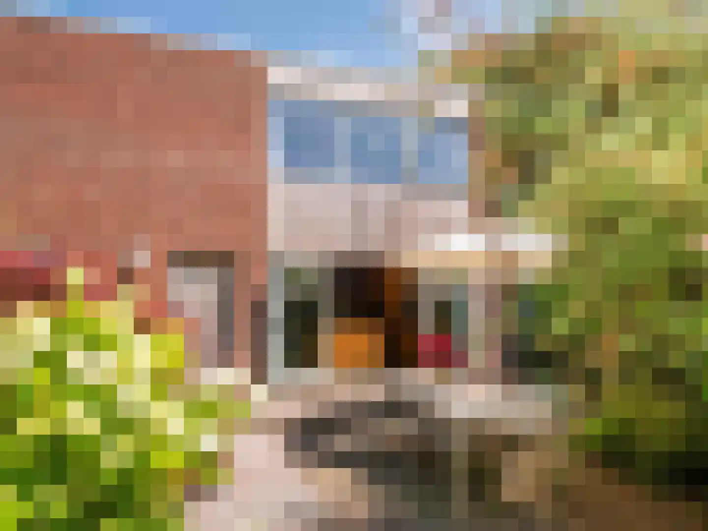 Dawson-Nes 12 Bergen (NH) thumbnail 29