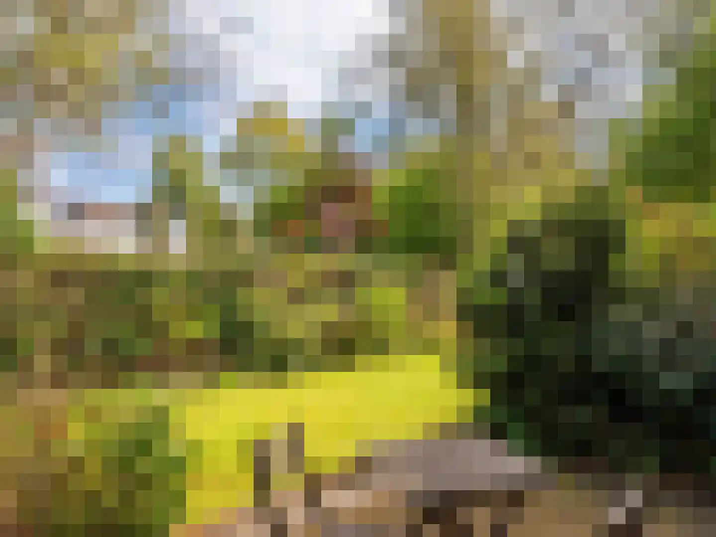 Dawson-Nes 12 Bergen (NH) thumbnail 30