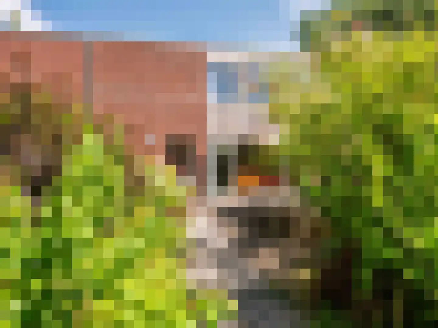 Dawson-Nes 12 Bergen (NH) thumbnail 32
