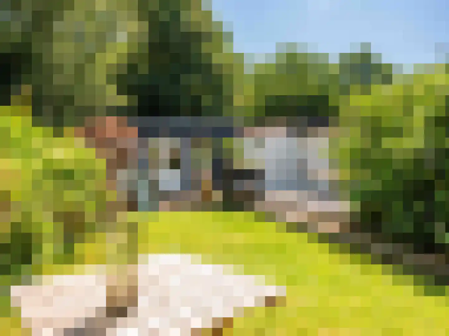 Dawson-Nes 12 Bergen (NH) thumbnail 34