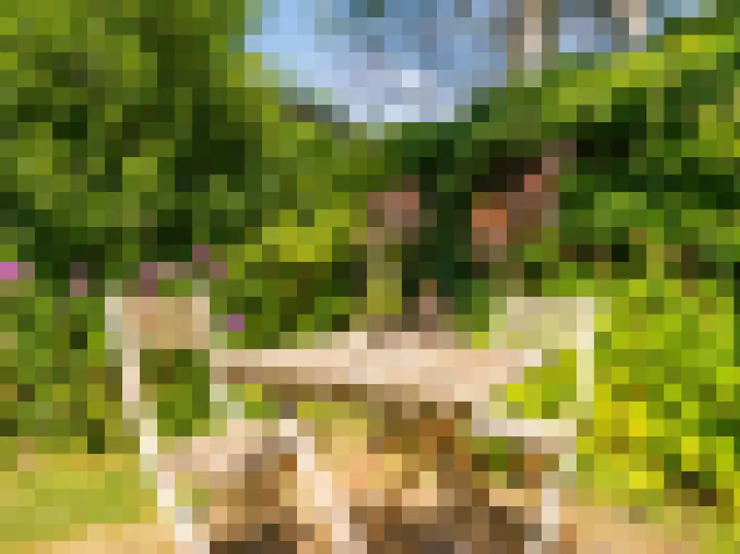Dawson-Nes 12 Bergen (NH) thumbnail 36