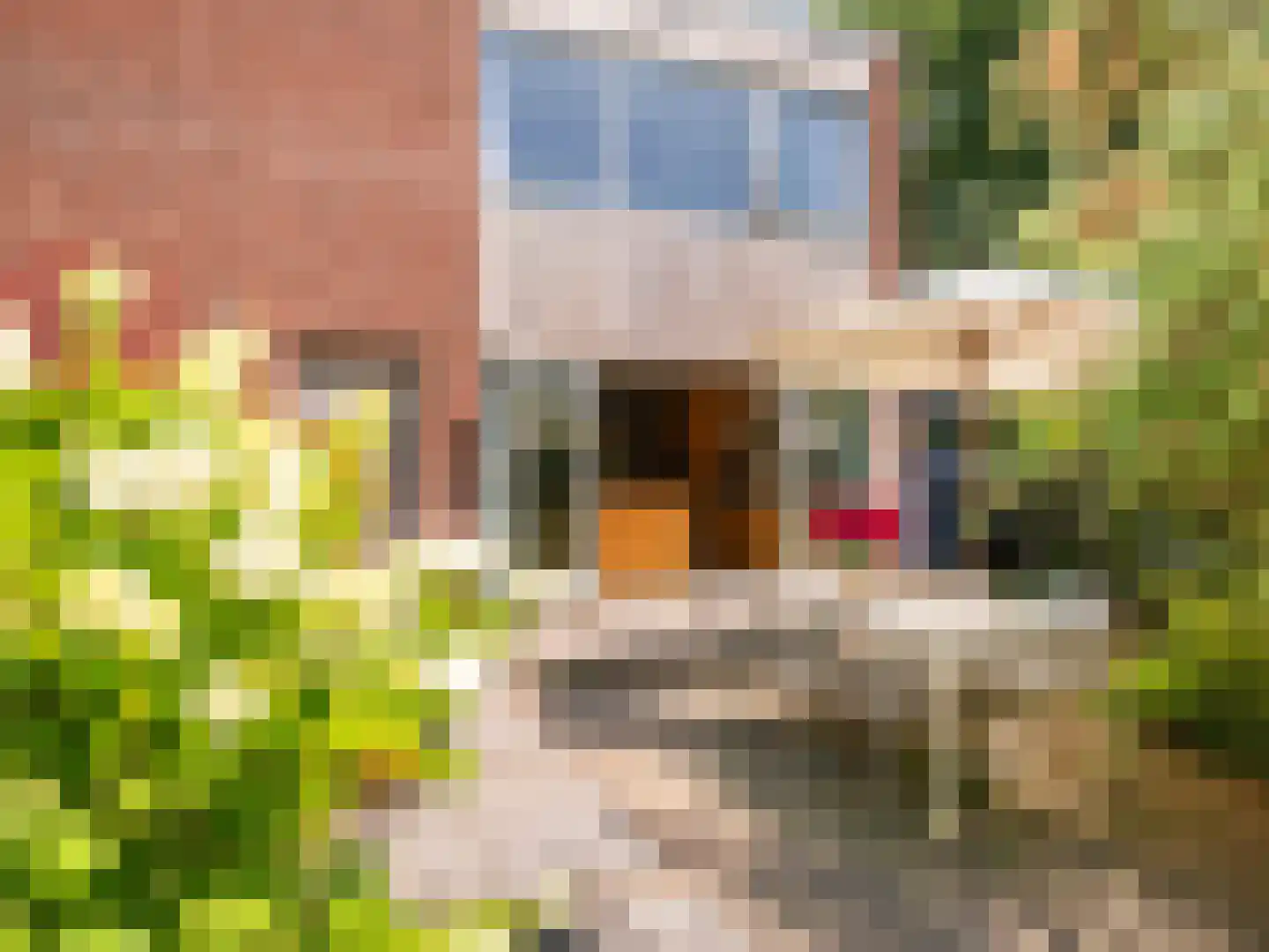 Dawson-Nes 12 Bergen (NH) thumbnail 37
