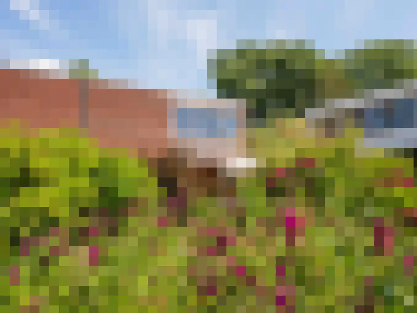 Dawson-Nes 12 Bergen (NH) thumbnail 38