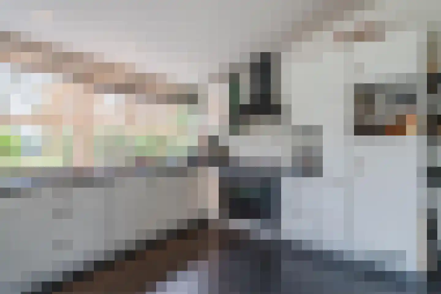 Dawson-Nes 15 Bergen (NH) thumbnail 19