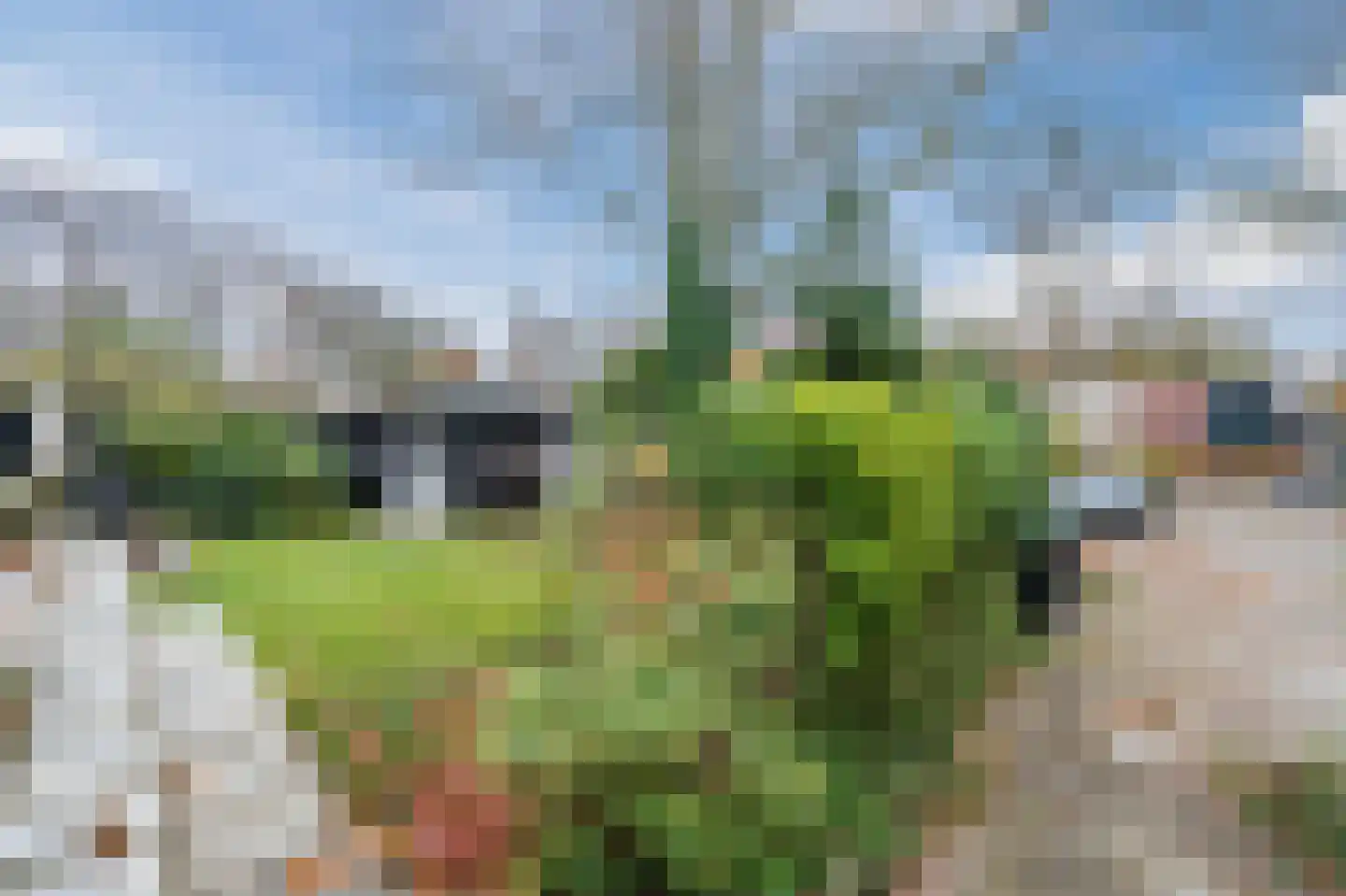 Dawson-Nes 15 Bergen (NH) thumbnail 48
