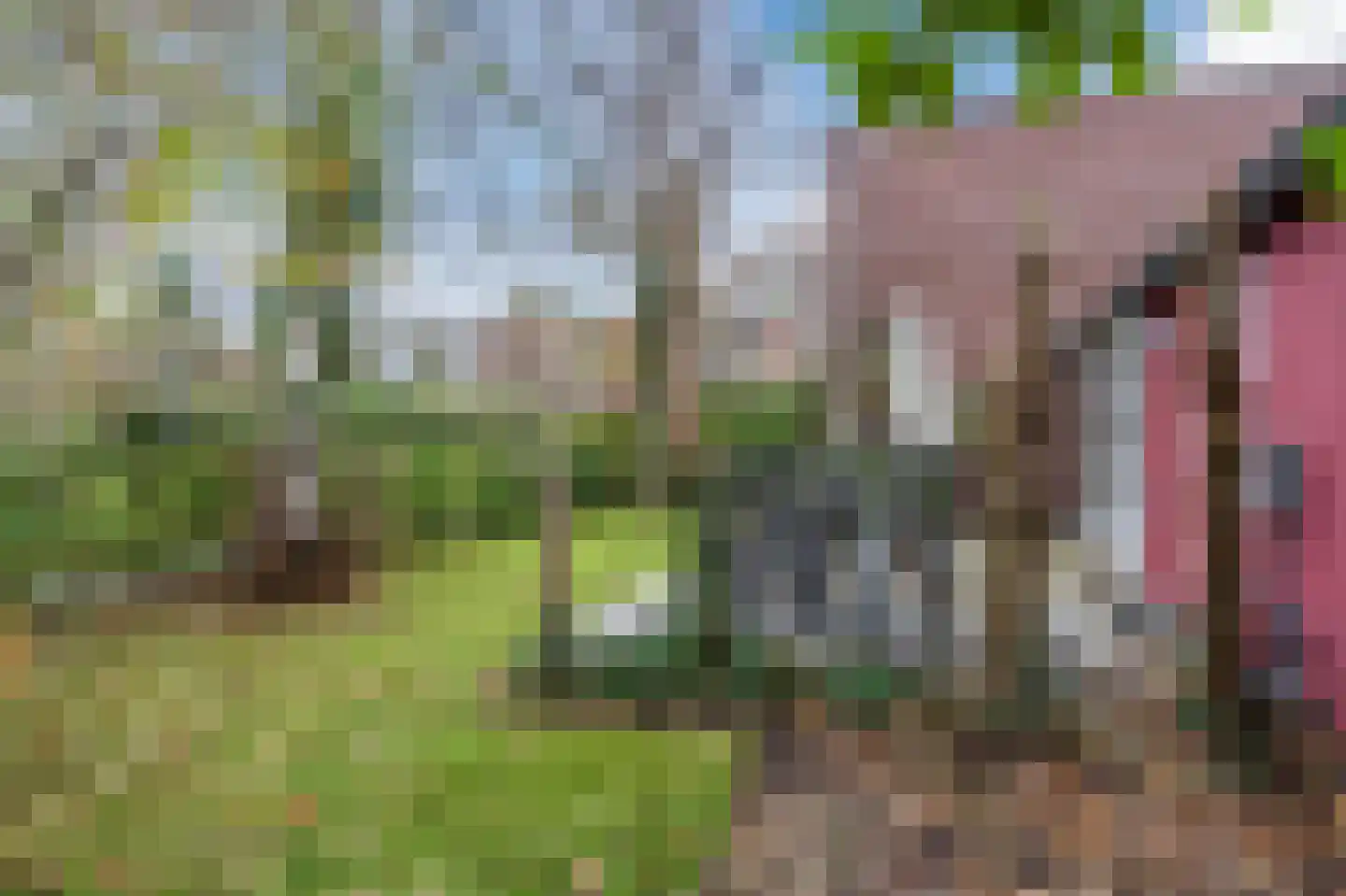 Dawson-Nes 15 Bergen (NH) thumbnail 50
