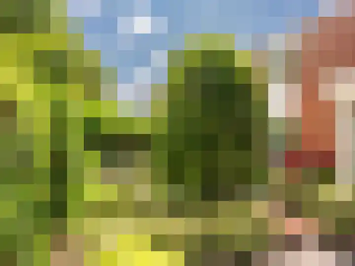 Dawson-Nes 18 Bergen (NH) thumbnail 36
