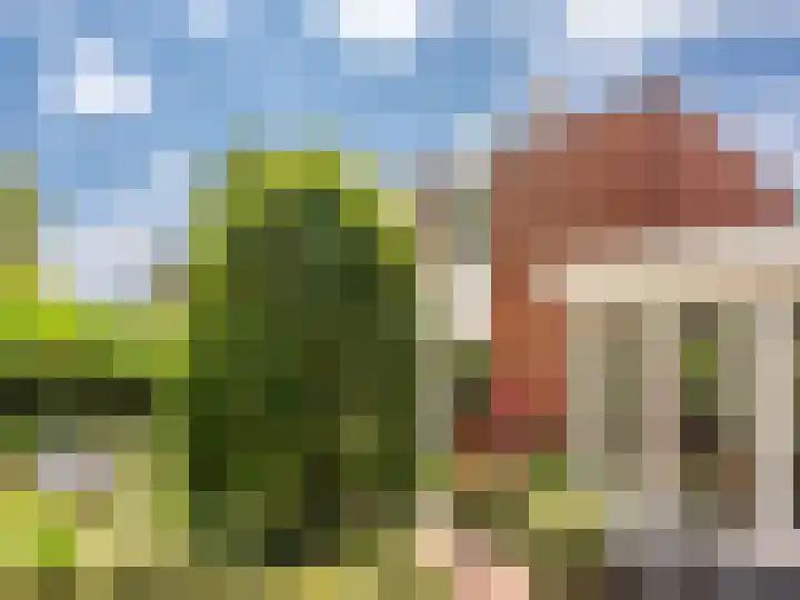 Dawson-Nes 18 Bergen (NH) thumbnail 37