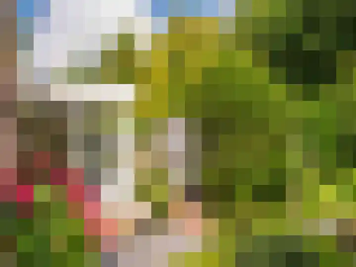 Dawson-Nes 18 Bergen (NH) thumbnail 39